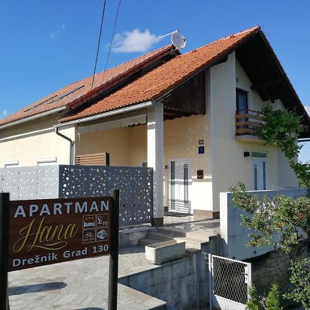 Studio apartman HANA Apartment Dreznik Grad Bagian luar foto