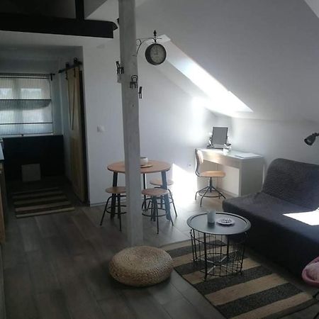 Studio apartman HANA Apartment Dreznik Grad Bagian luar foto