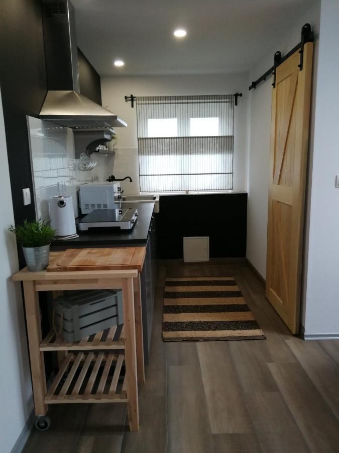 Studio apartman HANA Apartment Dreznik Grad Bagian luar foto