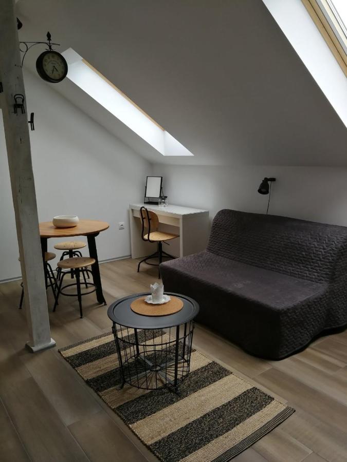 Studio apartman HANA Apartment Dreznik Grad Bagian luar foto