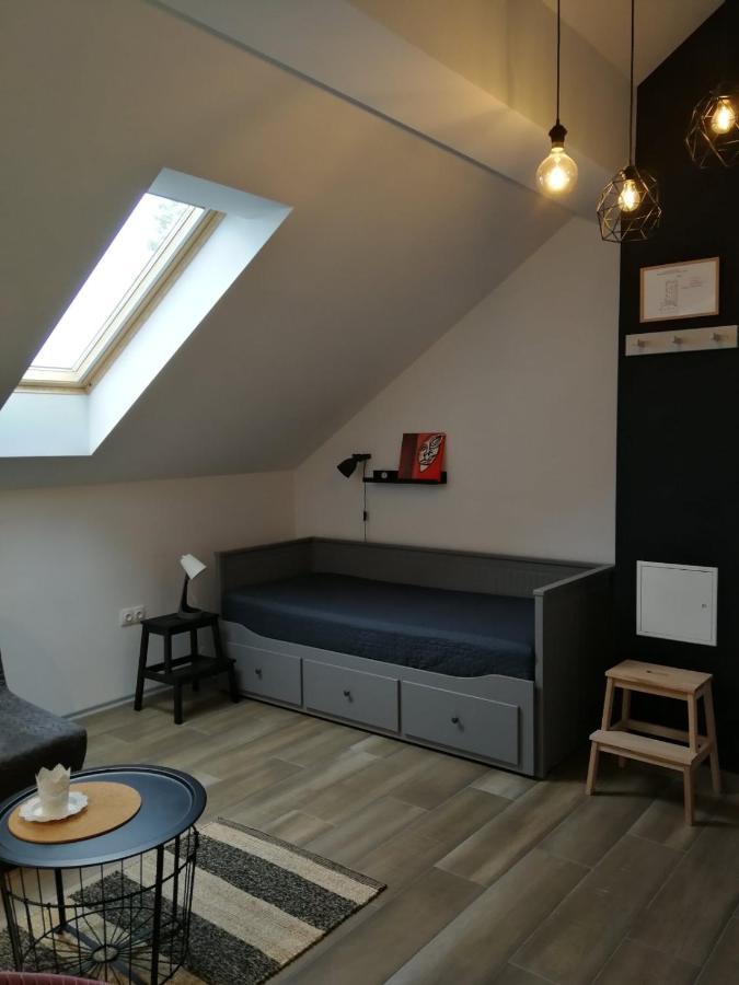 Studio apartman HANA Apartment Dreznik Grad Bagian luar foto