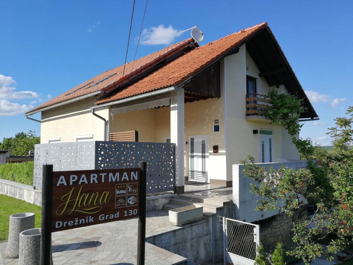 Studio apartman HANA Apartment Dreznik Grad Bagian luar foto