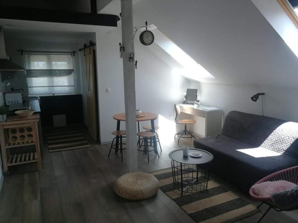 Studio apartman HANA Apartment Dreznik Grad Bagian luar foto