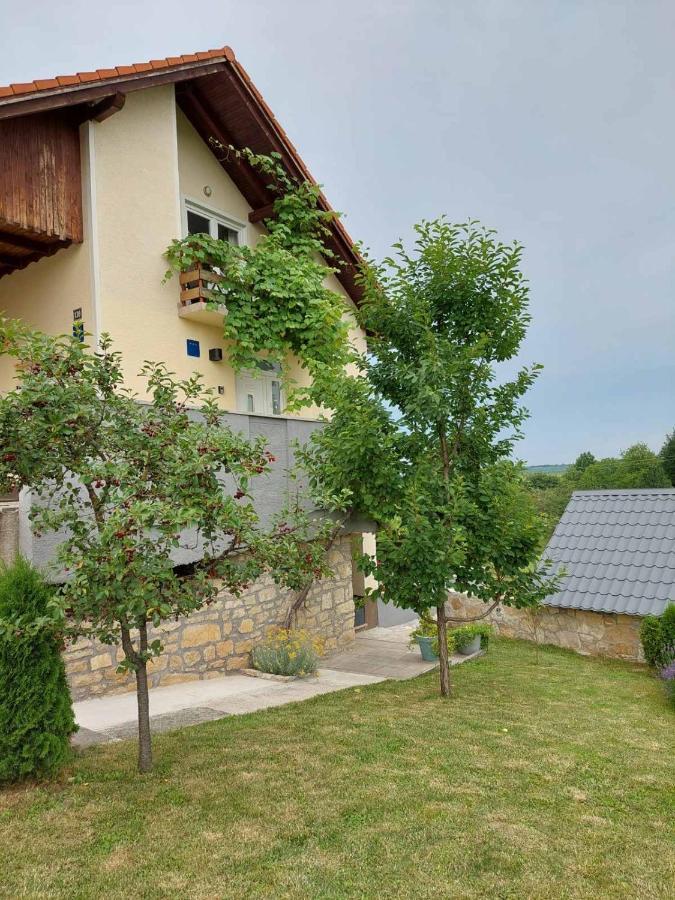 Studio apartman HANA Apartment Dreznik Grad Bagian luar foto